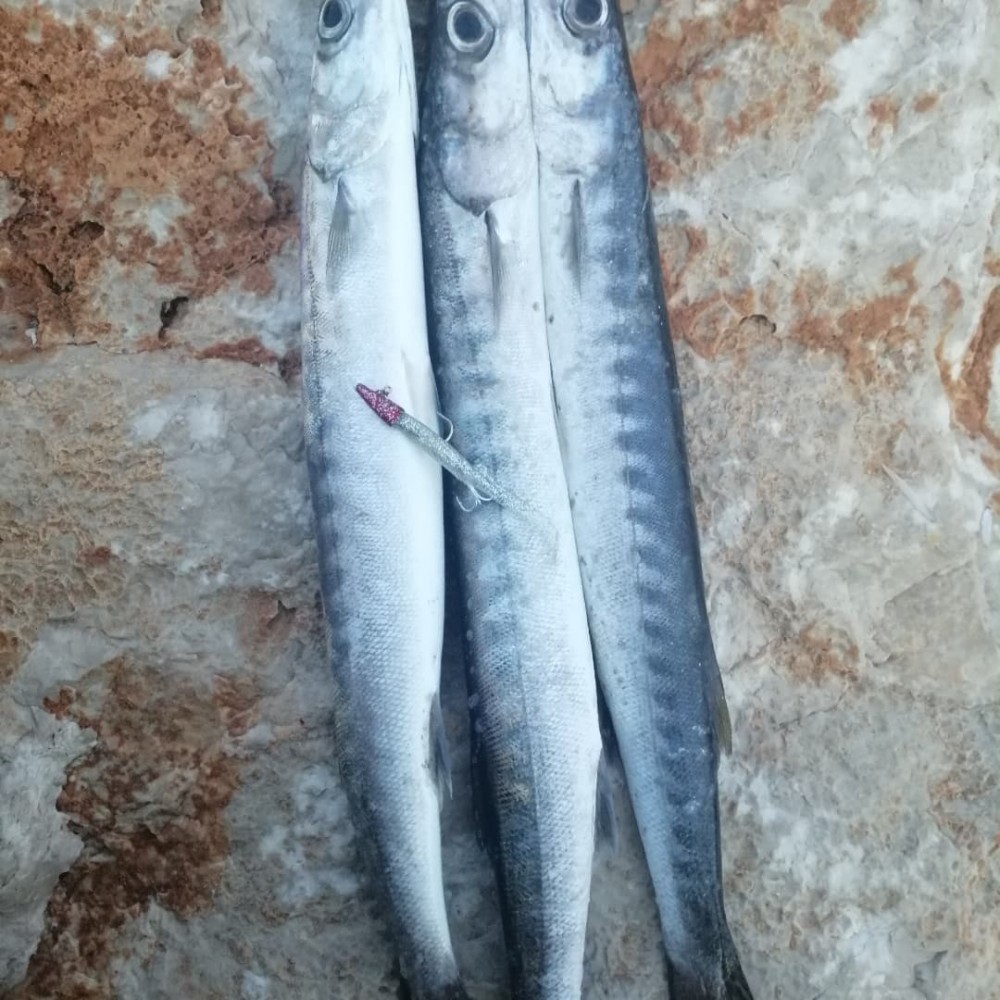 KATİL PİPET SİLİKON YEM ( Katil Pipet Ürünüdür )